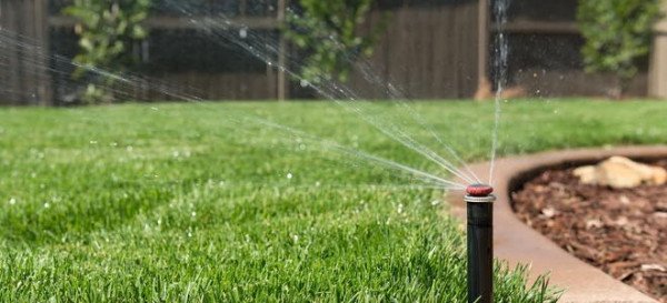 The Advantages of Timed Irrigation Systems