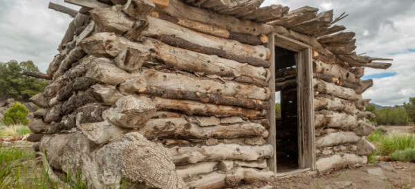 Building a Shed with Natural Cut Tree Poles