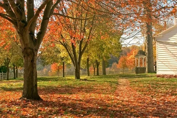 6 Fall Hacks for Your Home and Yard 