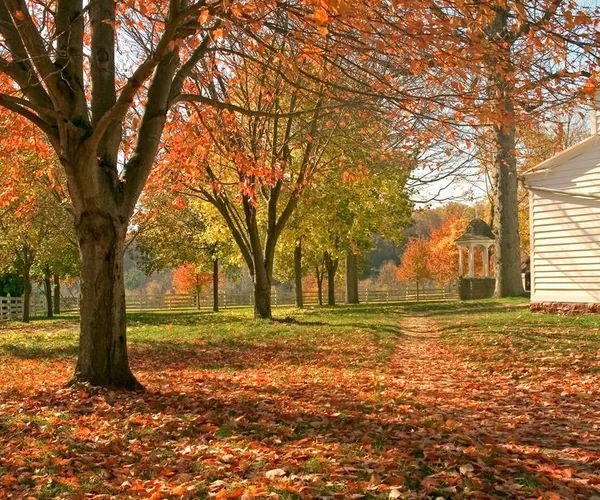 6 Fall Hacks for Your Home and Yard
