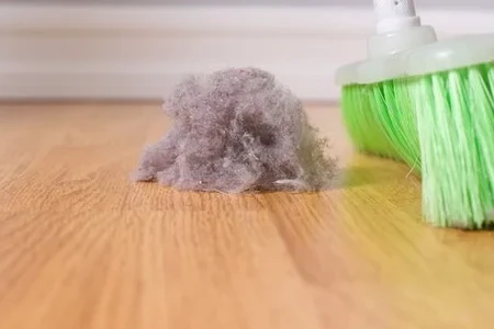 Combating Unwanted Holiday Guests: Dust Bunnies 