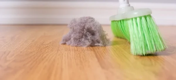 Combating Unwanted Holiday Guests: Dust Bunnies 