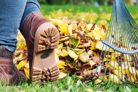 Fall Gardening Tips & Checklist