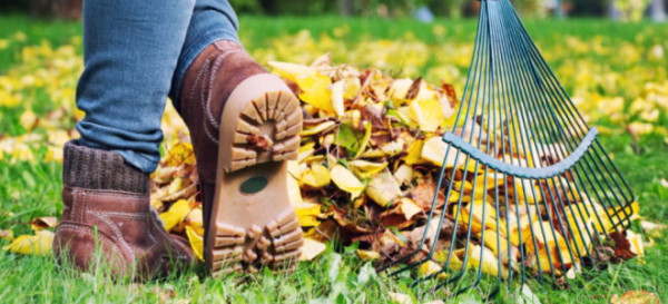 Fall Gardening Tips & Checklist