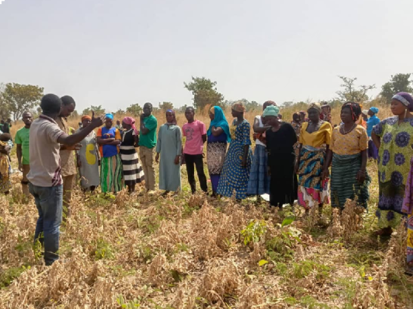 Farmers trained to improve soybean productivity in northern Ghana