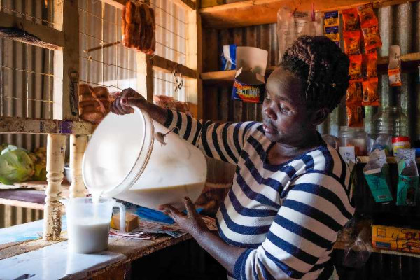 New Blog First ever large-scale climate funding targets low-emission, climate-resilient dairy systems Post