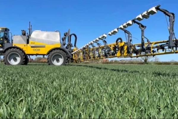 AI used to spot weeds growing in farmers' fields 