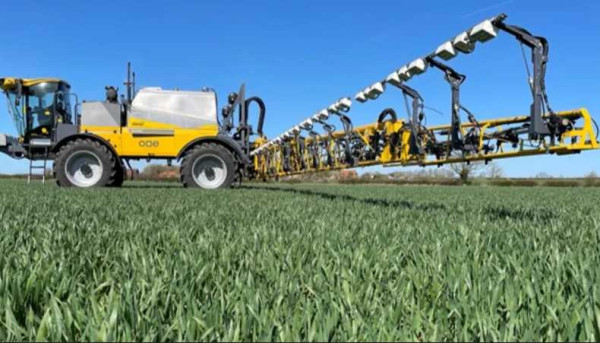 AI used to spot weeds growing in farmers' fields 