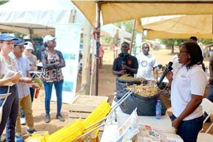 Climate-smart agriculture boosts crop yields - Kumbungu, Tolon farmers tell stories 