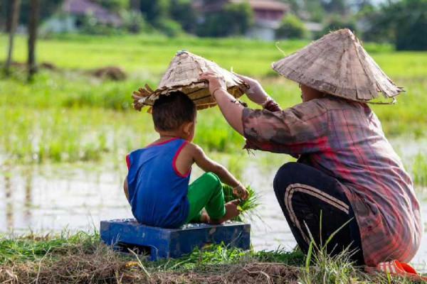 Building systemic resilience for the climate, energy & food 