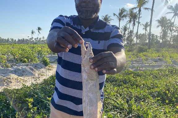 African Development Bank Group-funded fisheries programme impacts two million people, drives ...