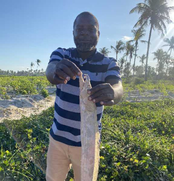 African Development Bank Group-funded fisheries programme impacts two million people, drives ... 