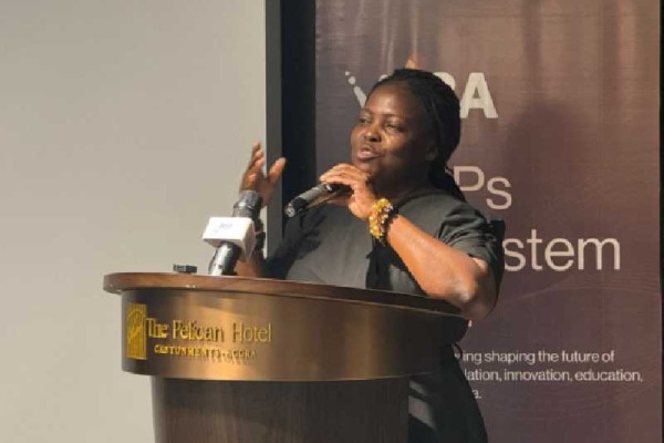 BoG outlines timeline for crypto regulation as VASP law awaits Presidential assent 