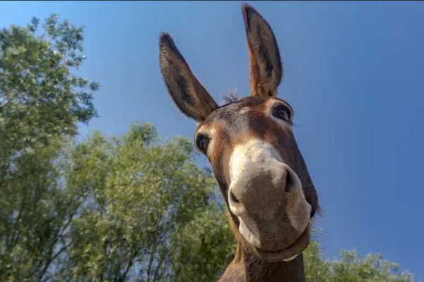 Eight ways to stay happier this year, according to science 