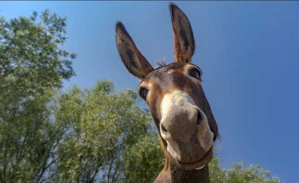 Eight ways to stay happier this year, according to science