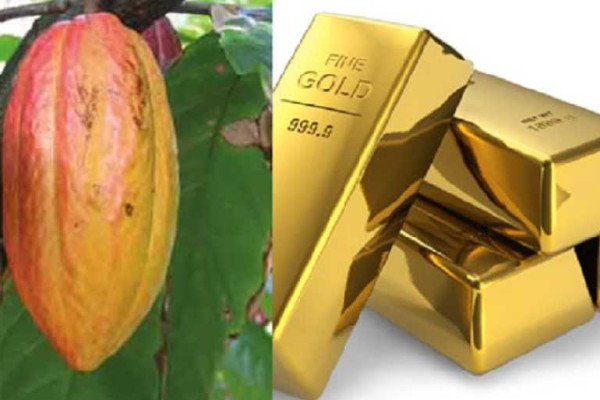 Gold surge pushes Ghana’s export earnings to US$31.1 billion