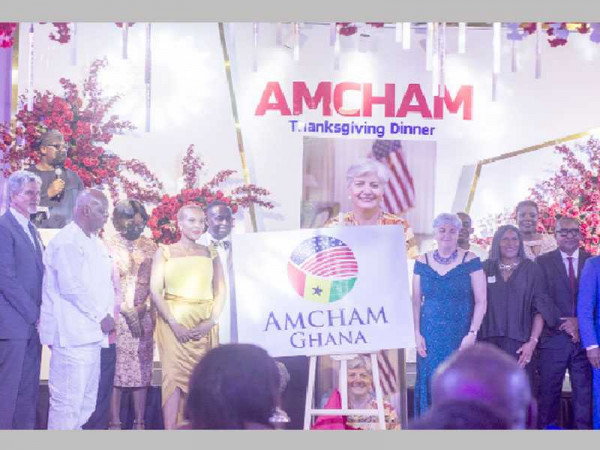 AMCHAM honours US Ambassador, others