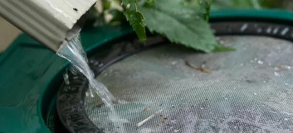 How to Install a Rain Barrel Pump 