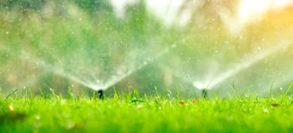 What Time To Run Your Sprinklers