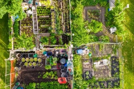 What You Have to Know to Start Homesteading