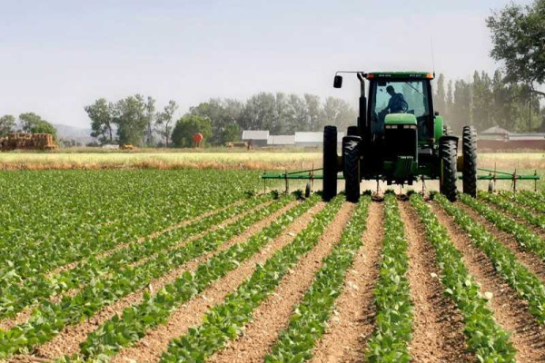 Agriculture as engine of sustainable economic development in Ghana