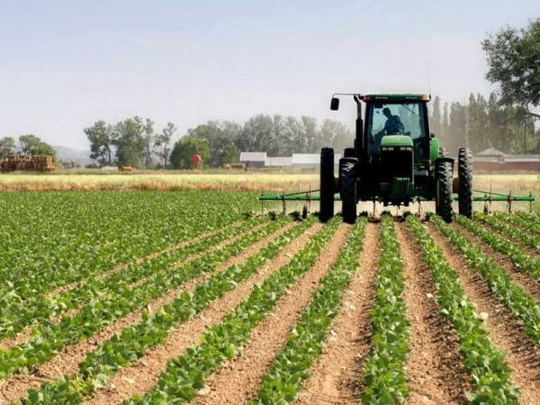 Agriculture as engine of sustainable economic development in Ghana