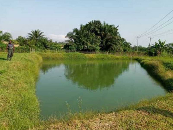 Fisheries Commission to boost fish farming in Eastern Region