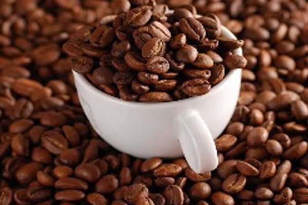 COCOBOD distributes coffee seedlings to farmers