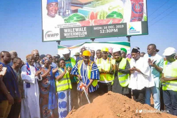 Veep cuts sod for construction of GHc35 million watermelon factory