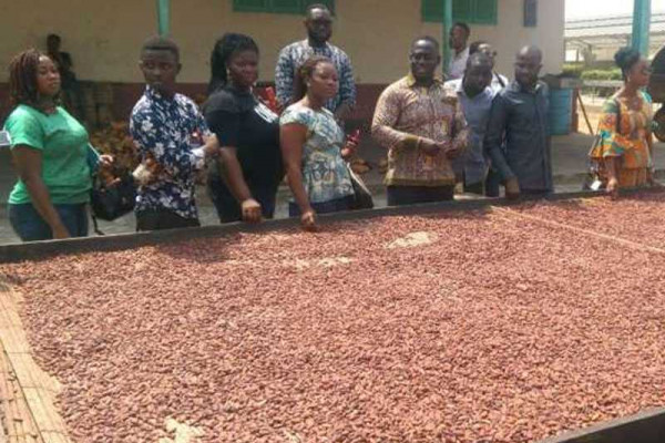 Let's promote export of cocoa products under ACFTA-AGI