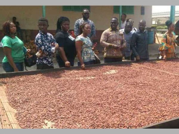 Let's promote export of cocoa products under ACFTA-AGI