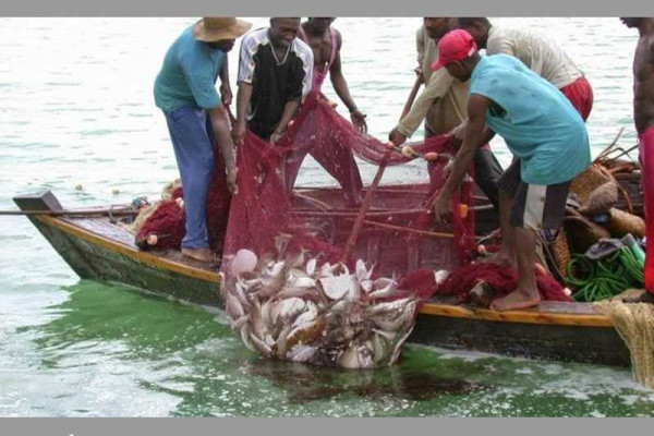 Fishing industry at the verge of collapse due to over-exploitation