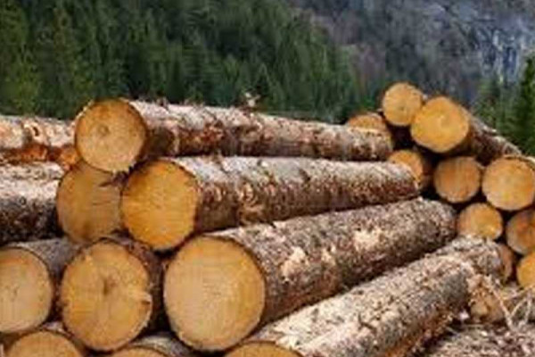 Ghana's Timber sector develops communication strategy to grasp EU opportunities