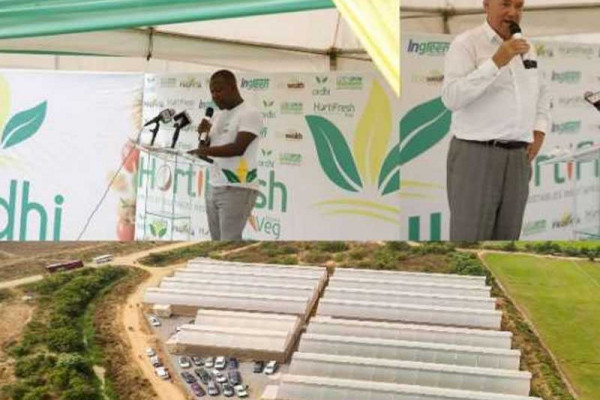 Ardhi Investment Group and Hortifresh hold greenhouse open day