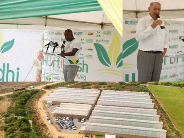 Ardhi Investment Group and Hortifresh hold greenhouse open day