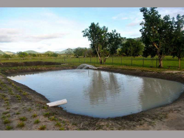 Dormaa central gets four earth ponds for catfish and tilapia production