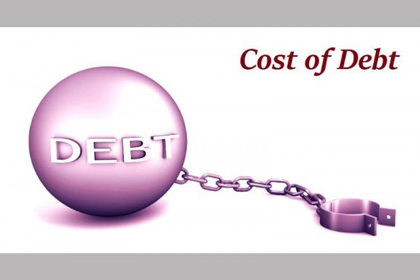 Reduction in cost of debt critical as figure rises to nearly 75 per cent of GDP – Economist