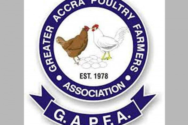 Introduce quota system to boost sale of local poultry products – Poultry farmers to government