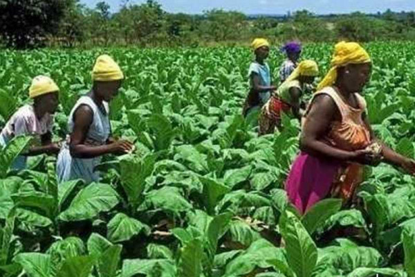 Female agricultural extension volunteers receive support