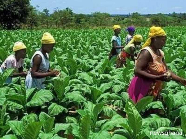 Female agricultural extension volunteers receive support