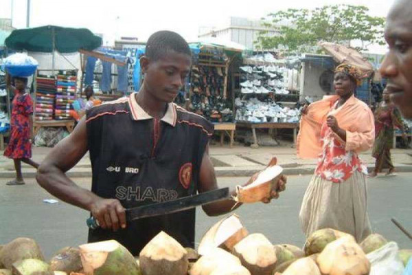 Coconut prices surge in Koforidua as demand slumps