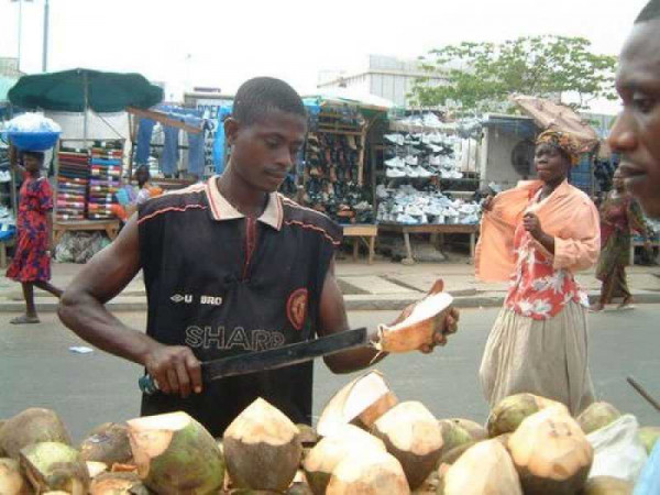 Coconut prices surge in Koforidua as demand slumps