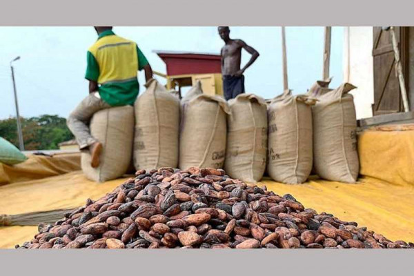 COCOBOD will receive $190 million this week to settle farmers – Afriyie Akoto