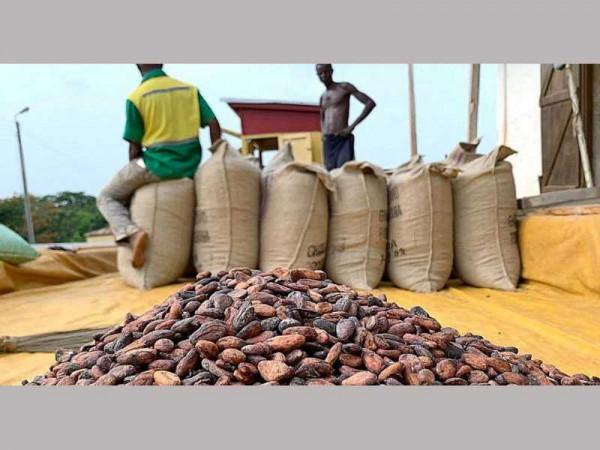 COCOBOD will receive $190 million this week to settle farmers – Afriyie Akoto