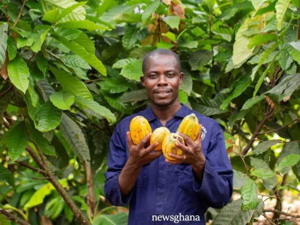 Cocoa farmers urged to adhere to safety practices
