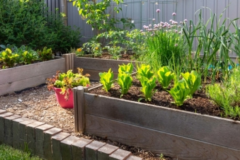  Building a Raised Garden Box on a Budget