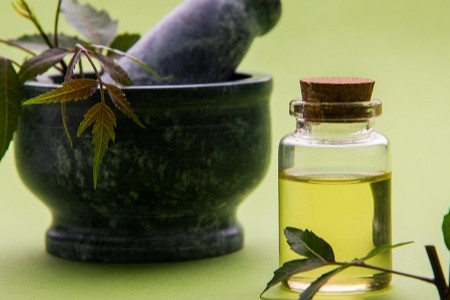  Terms of the Trade: What is Neem Oil?