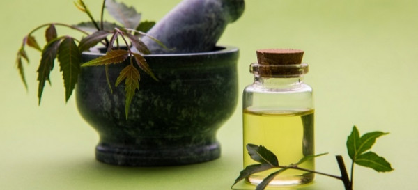  Terms of the Trade: What is Neem Oil?