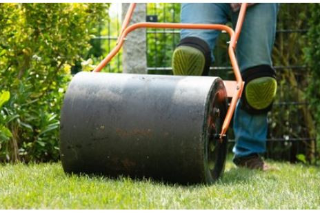 Picking the Best Lawn Rollers