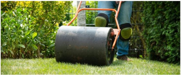 Picking the Best Lawn Rollers